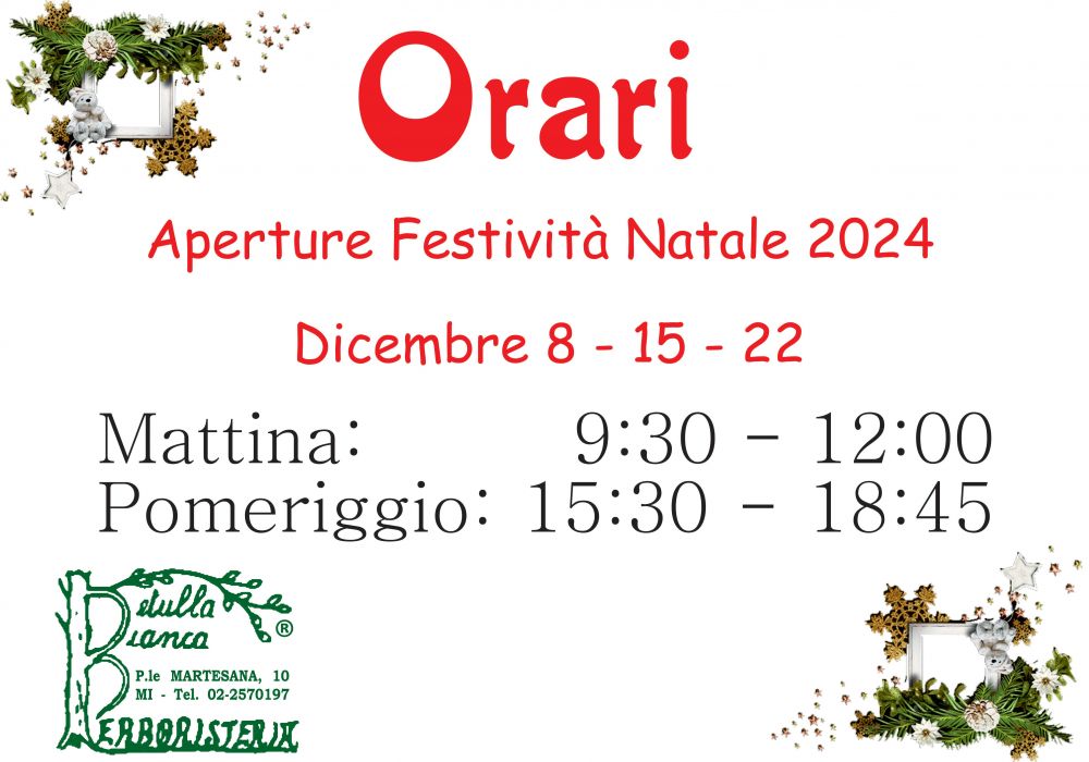 Orari domeniche Natale 2024