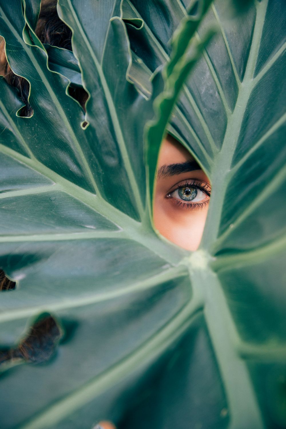 occhi e piante